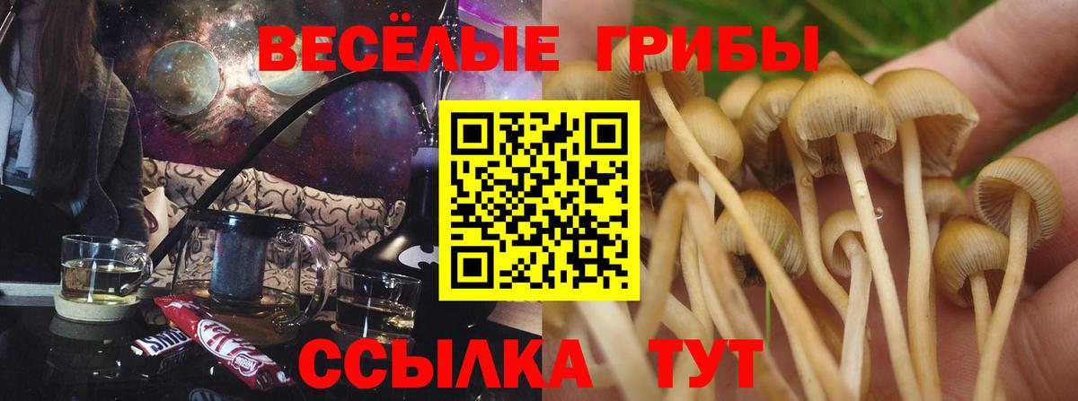 Галлюциногенные грибы мухоморы  Галлюциногенные грибы MAGIC MUSHROOMS  Приморско-Ахтарск  Вход с VPN 